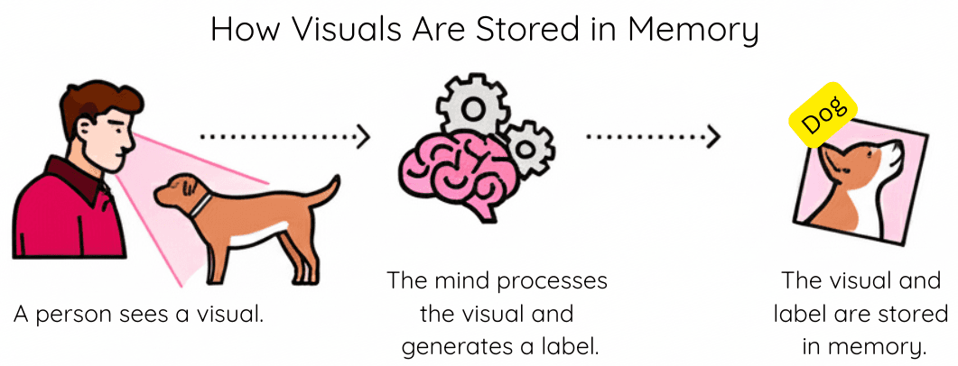 Visual Learning Demonstration